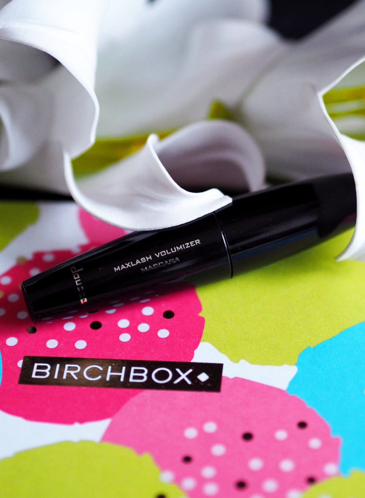 Birchbox, beauty subscription service, review, first impressions, makeup, skincare, haircare, body care, accessories, beauty products, cleanser, facial scrub, mascara, Philip Kingsley